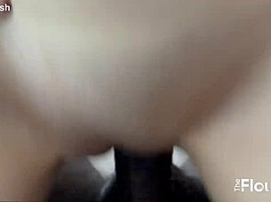 petite bunny missdizzum rides mrflourish's monster cock 😍