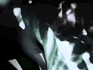 vintage erotic art captures timeless passion