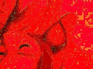 monika fox's pov homemade anal fisting prolapse with huge dildo sloppy blowjob