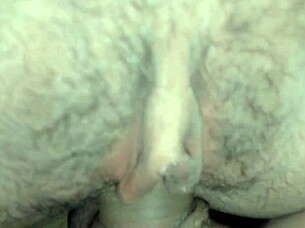 shaved beauty spreads huge wet pussy begging for hard fuck