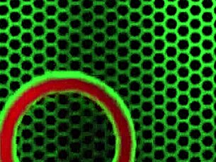 Jenna Foxx Shoves That Thick Dildo Deep Into Her Big Clit Pussy!