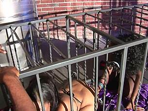 ebony bbw monster cock threesome pounding 😍🍆