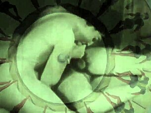 vintage erotic tale unfolds hairy pussy secrets