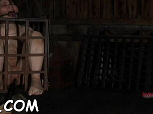 i love sucking cock in bondage contest