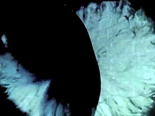 vintage erotic tale unfolds hairy pussy secrets