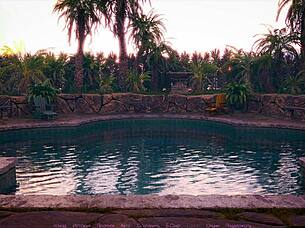 check out this bimbo doll's sloppy blowjob and rough doggystyle pounding 🔥🍆