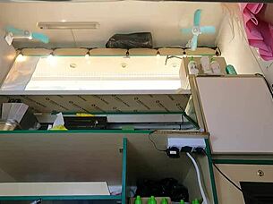 ever seen a perfect pussy upskirted at work like this?