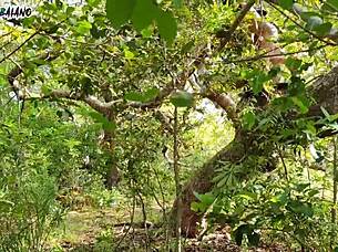 Intense anal paradise living with adam eve slutty assfucking bliss