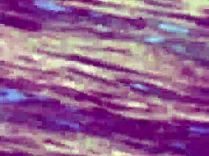 Hot Japanese Hottie Teases Monster Black Cock in Public Island Fuck?