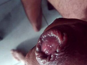 gala's holiday ass fuck tease builds tesão 😈✨