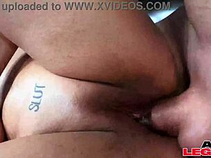 thick arabic sarah jumps perfect on huge dick