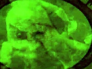 Vintage Erotic Art Featuring Antique Seductive Poses