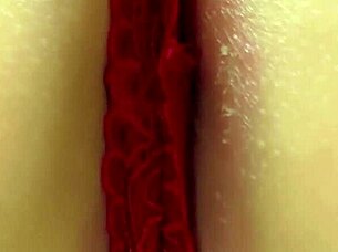 you pervs love big ass anal and pussy? watch me cum hard! completo no cassiflix