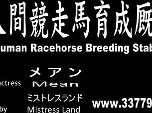 uh i train asian slave racehorse in breeding stables...