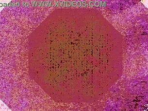 couple flashes wild hotel sex spied unaware