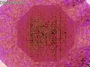 couple flashes wild hotel sex spied unaware