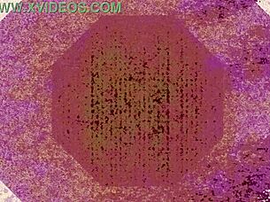 couple flashes wild hotel sex spied unaware