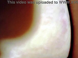 couple flashes wild hotel sex spied unaware