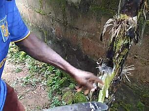 Oiled Garden Sex Turns Wild and Natural!