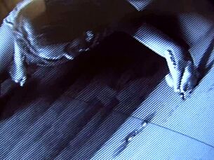 Hung cocks poke thru gloryhole just for me Aria Austin sucks!
