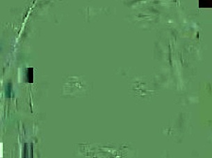 pathetic tiniest penis loser humiliated in sph femdom pov bdsm shame