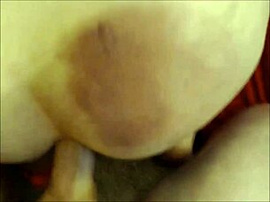 kinky trannies pound intense doggystyle assfucking session