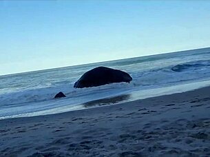 Cute Clit Lick on Beach Milf!