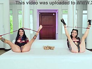 Bondage latinas lesbian anal gangbang creampie hardcore