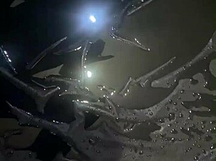 curvy wife flashes cameltoe pisses outdoor in pantyhose fetish