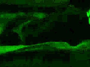 wanna see me slurp this oiled black banana cock?