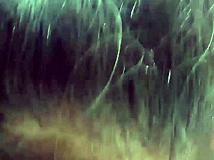 indonesian beauty bends over for ex's monster cock doggystyle homemade pounding.