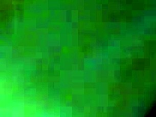 Peruvian Amateur Putita Shows Off Her Skills