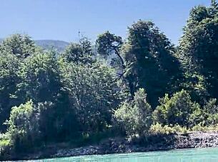 hey argentina, your petite tattooed ass made me explode in the woods