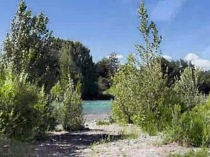 hey argentina, your petite tattooed ass made me explode in the woods