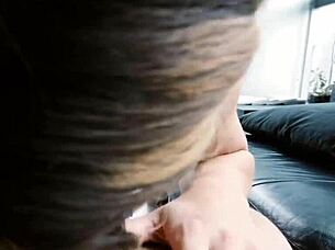 stepsis in bra begs bro for hardcore orgy pounding