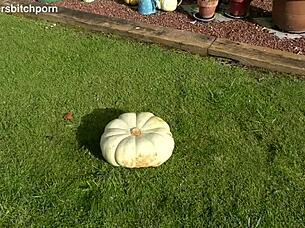 kiwi milf pumpkin toilet seat yard sub piss