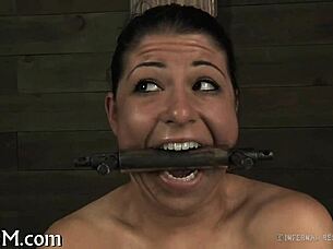 Real Punishment Porn Unfolds Casually