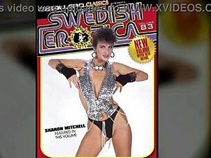 i cherish this swedish vintage erotica magazine's timeless european allure