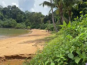 oops beach handjob turns into wild outdoor cum