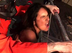 beautiful big ass babe drilled hard by two guys deep?