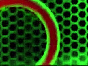 tattooed marylin melons pussy stretched by rome major's monster cock