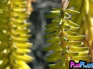 babe poses and strips outdoors for playboy