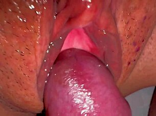 Amateur Pink Pussy Closeup 347 Days Post Virginity