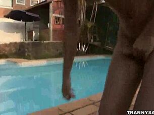 busty latina shemale strokes huge cock poolside in solo masturbation
