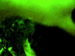 curly glasses girl's hidden blowjob passion exposed