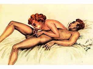 vintage erotic beaver drawings