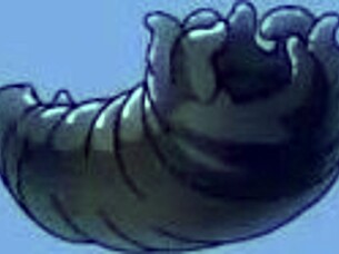 Tattooed bbw connie dominates latina penny feet slave intensely