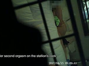 mom catches orgasm with hidden dildo toy