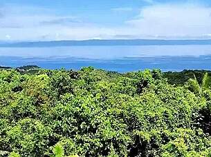 petite asian slut stretches tight holes soft and hardcore before massive face cum