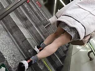 picnic date turns into hidden creampie ntr with panty flash